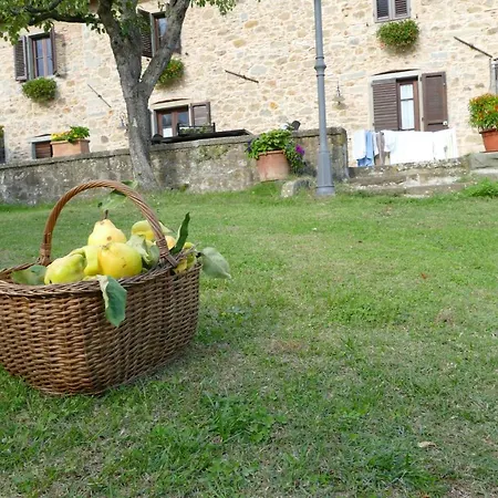 Vakantiehuis Braccicorti *