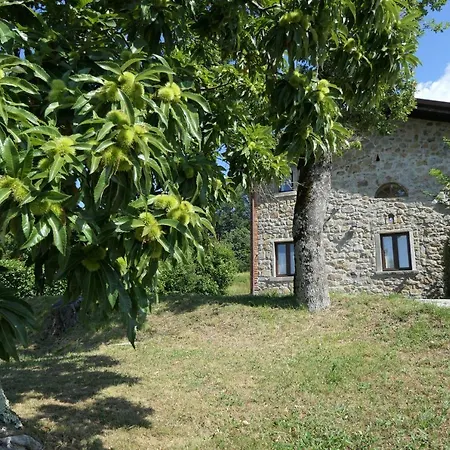 Braccicorti Vakantiehuis Pieve Fosciana