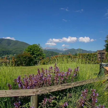 Braccicorti Vakantiehuis Pieve Fosciana
